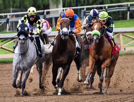 Facts About Horse Racing That You’ll Find Interesting
